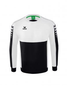 1072210 SIX WINGS...