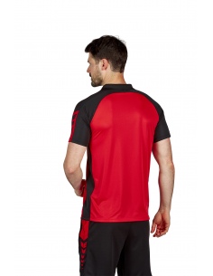 1112234 Six Wings... 2