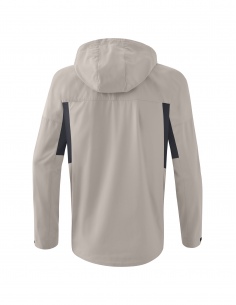 2062313 Multifunctional... 2