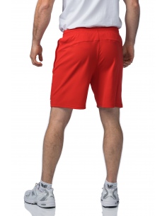 2152404 TEAM Shorts Men 2