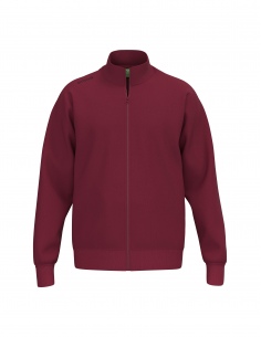 2072532 TS Sweatjacket Men