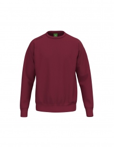 2072584 TS Sweatshirt Kids