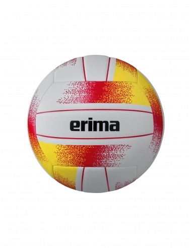 7402302 All-round volleyball