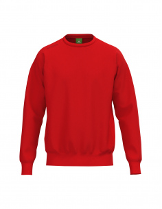 2072615 TS Sweatshirt Kids