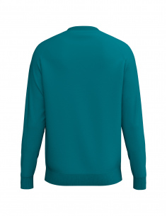 2072640 CMPT Wings Sweatshirt 2