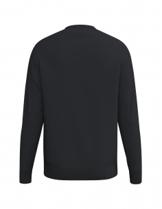 2072648 CMPT Wings Sweatshirt 2