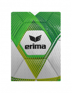 7192606 ERIMA HYBRID Lite 290 2